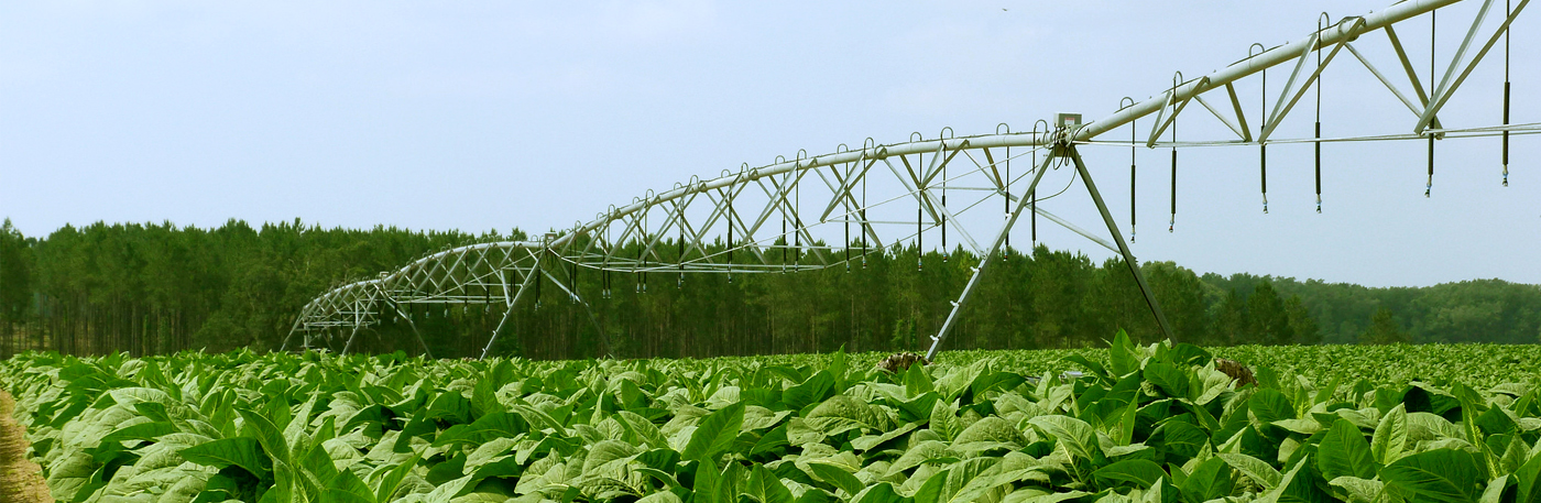 Reinke Center Pivots